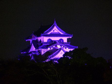 紫と青と白 昔があります 彦根城の おほりばた